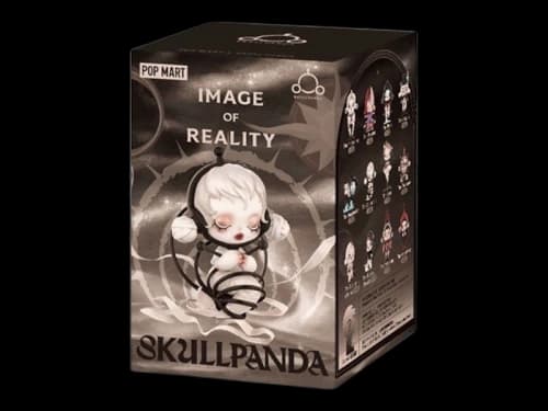Pop Mart SKULLPANDA Image Of Reality Series Single Blind Box
