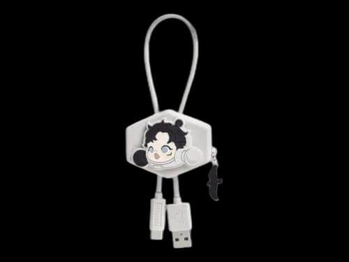 Pop Mart SKULLPANDA The Ink Plum Blossom Series Line The Bridge iPhone Cable