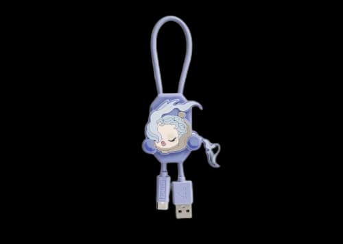 Pop Mart SKULLPANDA The Ink Plum Blossom Series Line The Wind iPhone Cable