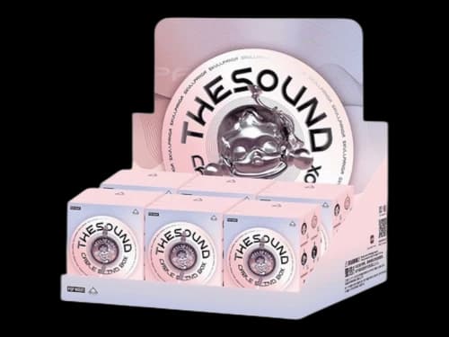 Pop Mart SKULLPANDA The Sound Series iPhone Cable Sealed Case (6 Blind Box)