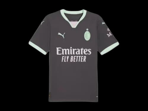 Puma AC Milan 24/25 Replica Third Jersey Shadow Gray/Fresh Mint