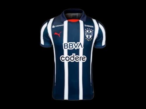 Puma C.F. Monterrey 24/25 Home Replica Jersey New Navy