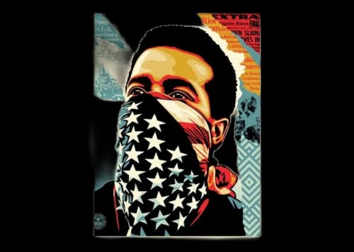 Shepard Fairey American Rage Print (Signed, Edition of 550)