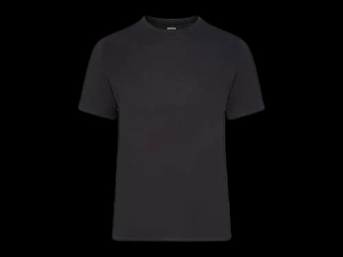 SKIMS Men's Cotton Classic T-shirt Onyx