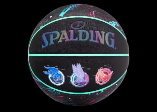 Spalding x Space Jam A New Legacy Composite Basketball Black