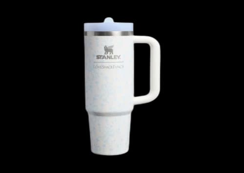 Stanley 1913 x LoveShackFancy Holiday Quencher ProTour Flip Straw 30oz Tumbler Coquette Bow Winter Ice