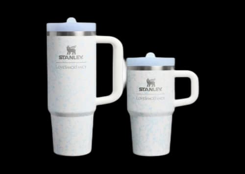 Stanley 1913 x LoveShackFancy Holiday The Quencher Details ProTour 30oz Tumbler Set Coquette Bow Winter Ice