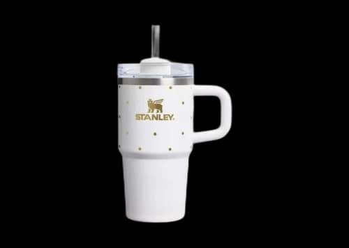 Stanley Stainless Steel FlowState Quencher 20oz Tumbler Frost Polka Dot