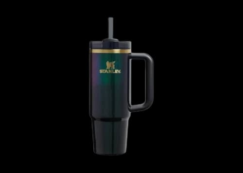 Stanley x Target x Wicked Flowstate Quencher 30oz Tumbler Elphaba For Good