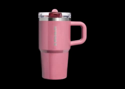Stanley The Quencher ProTour Flip Straw 20oz Tumbler Port Shimmer