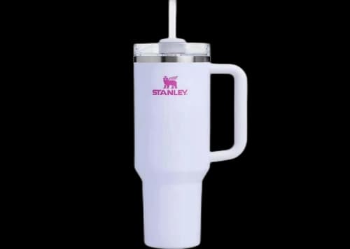 Stanley x Dicks Sporting Goods Winter Wonderland Collection Flowstate Quencher 40oz Tumbler Crystal Crush