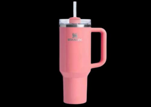 Stanley x e.l.f Cosmetics Flowstate Quencher 40oz Tumbler Coral Fixation