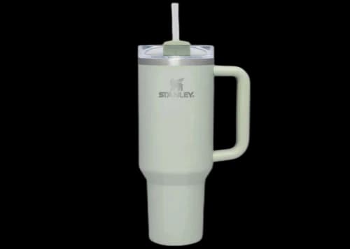 Stanley x Magnolia Quencher 40oz Tumbler Serene Green