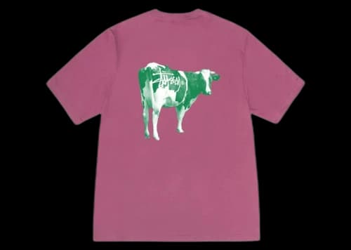Stussy Grassfed T-shirt Berry
