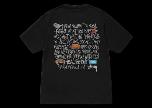 Stussy Heal The Bay Pigment Dyed Summit To Sea Tee Black