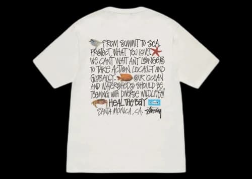 Stussy Heal The Bay Pigment Dyed Summit To Sea Tee Natural