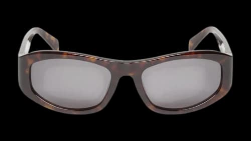 Stussy Landon Sunglasses Dark Tortoise/Black Lens