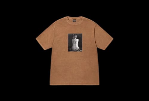 Stussy Le Violon Pigment Dyed Tee Brown (FW22)