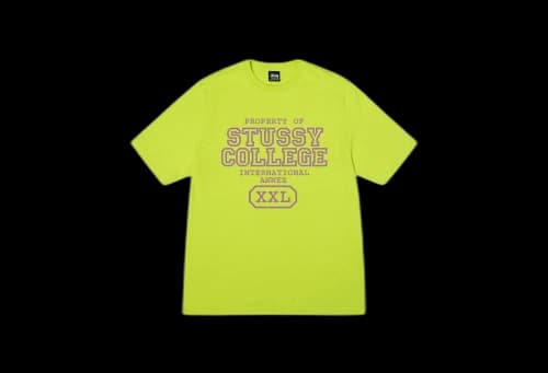 Stussy Property Of Tee Keylime (SS23)
