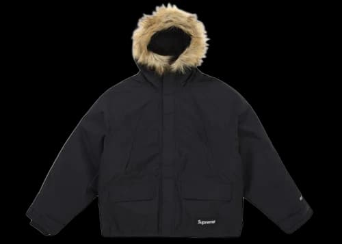 Supreme 2-in-1 GORE-TEX Parka + Reversible 700-Fill Down Liner Jacket Black