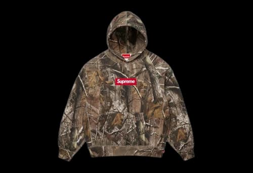 Supreme Box Logo Hooded Sweatshirt 'Realtree AP Camo' (FW25)