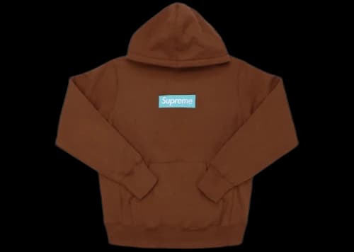 Supreme Box Logo Hooded Sweatshirt (FW17) Rust