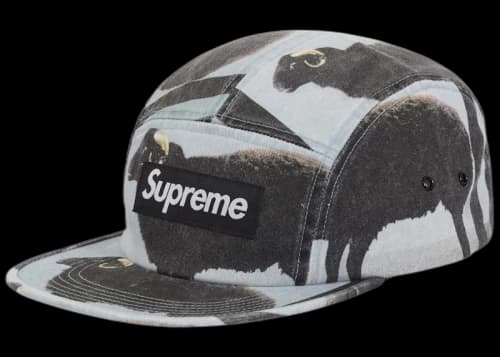 Supreme Damien Hirst Camp Cap Black