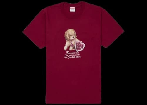 Supreme Dust Tee Cardinal