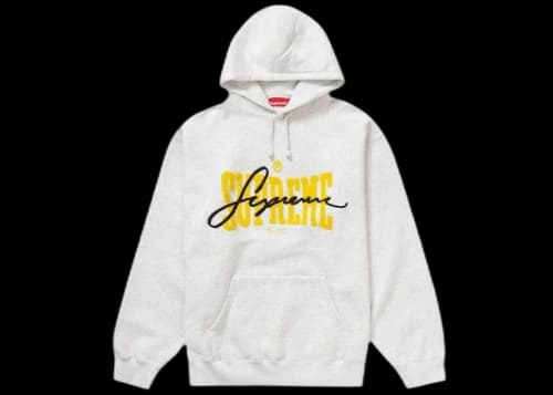 Supreme Embroidered Chenille Hooded Sweatshirt Ash Grey
