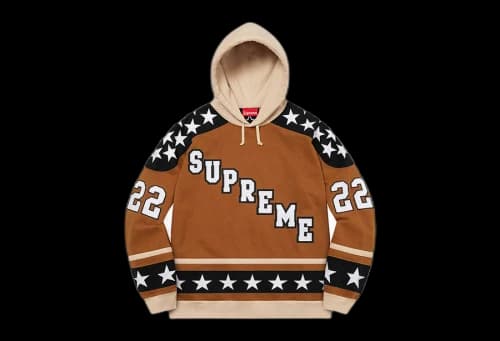 Supreme Hockney Hooded Sweatshirt Brown (FW22)