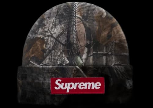 Supreme New Era Box Logo Beanie (FW25) Realtree AP Camo