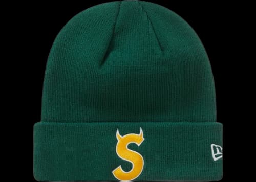 Supreme New Era S Logo Beanie (FW22) Dark Green