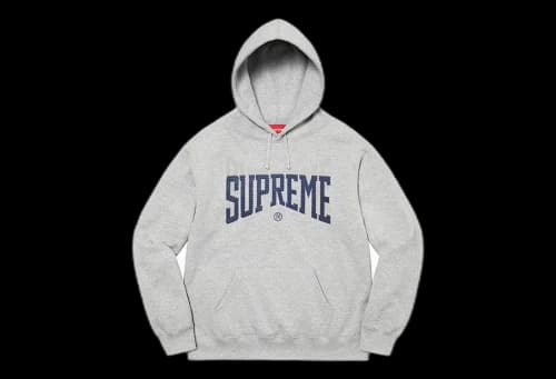 Supreme Rhinestone Shadow Hooded Sweatshirt Heather Grey (FW22)