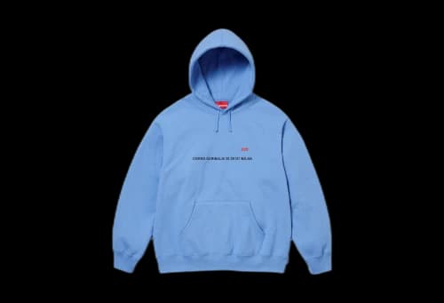Supreme Shop Small Box Hooded Sweatshirt Pale Blue - Milan (FW23)