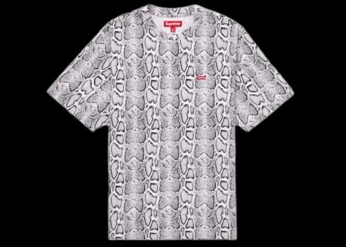 Supreme Small Box Tee (SS24) Snake