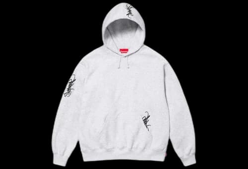 Supreme Tag Hooded Sweatshirt Ash Grey (SS24)