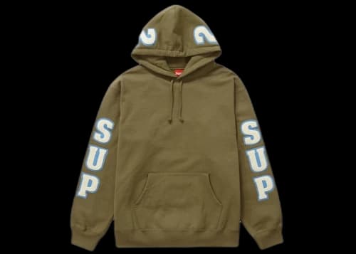 Supreme Chenille Hooded Sweatshirt Olive Brown