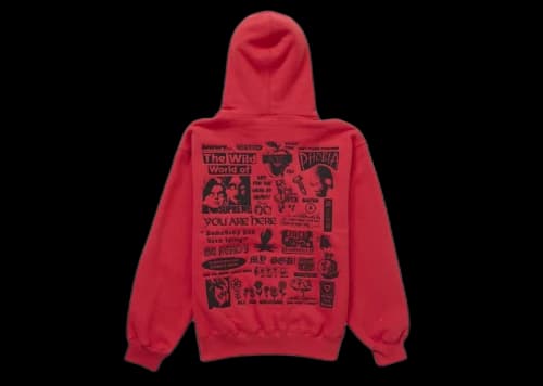 Supreme Wild Embroidered Hooded Sweatshirt Burnt Red