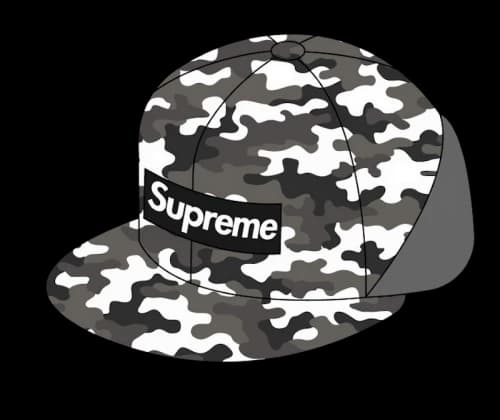Supreme WINDSTOPPER Earflap Box Logo New Era Snow Camo