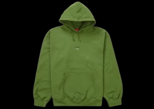 Supreme World Famous Micro Hooded Sweatshirt Green