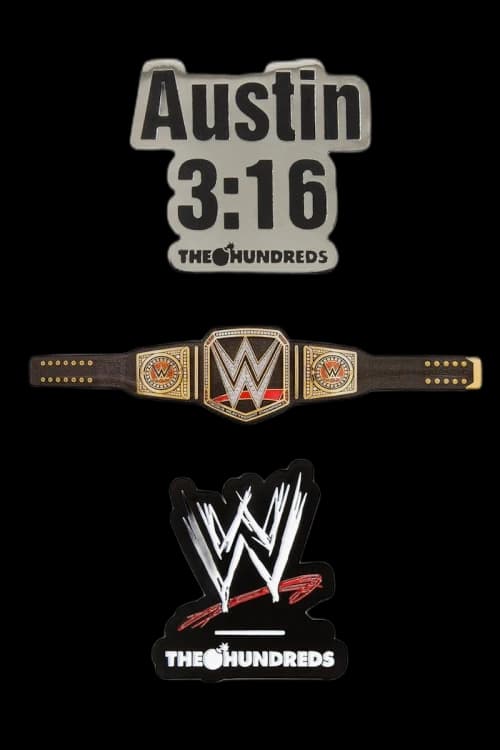 The Hundreds x WWE Pin Set Multi