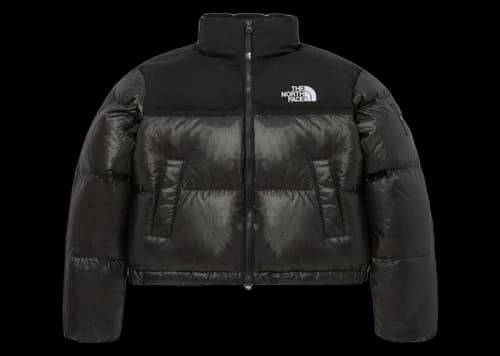 The North Face Women's Novelty Nuptse RDS Down Jacket Black
