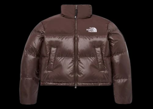 The North Face Women's Novelty Nuptse RDS Down Jacket Cocoa Brown