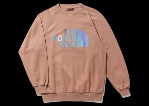 The North Face x Clot Graphic Crewneck Brown