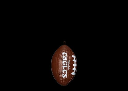 Tyler, The Creator Golf Wang x NFL Eagles Football Keychain Multicolor
