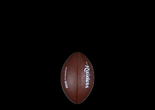 Tyler, The Creator Golf Wang x NFL Raiders Football Keychain Multicolor
