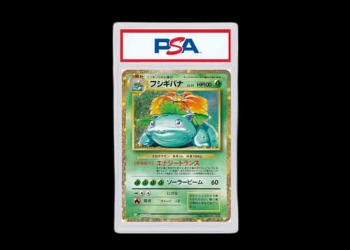 Venusaur 2023 Pokémon Holo Japanese #3 (PSA or BGS Graded)