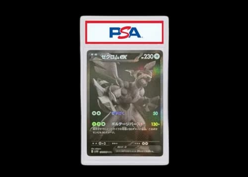 Zekrom 2025 Pokémon Scarlet & Violet Expansion Pack Black Bolt BWR (Japanese) SV11B 174/086 (PSA or BGS Graded)